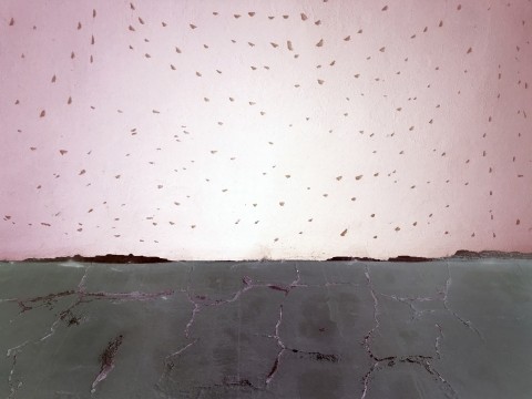 ilustracni foto