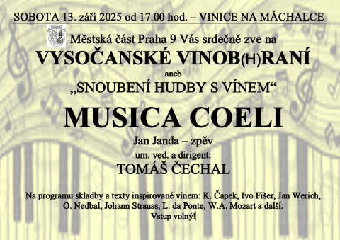 Koncert Na Máchalce