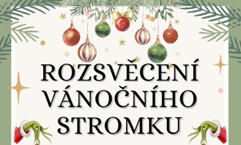 Vánoční strom U Brabců