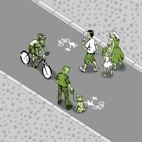 Jaká jsou práva cyklistů a motoristů ve městě?