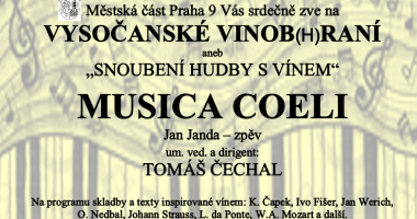 Koncert Na Máchalce