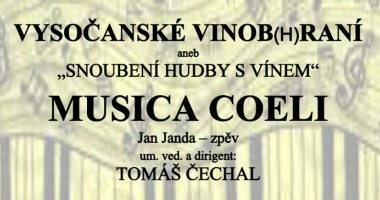 Koncert Na Máchalce